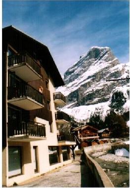 Holiday Apartment in pralognan-la-vanoise (Savoie) or holiday homes and vacation rentals