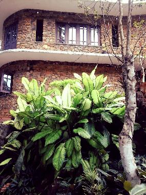 Holiday House in BULATHKOHUPITIYA  (Kegalla) or holiday homes and vacation rentals