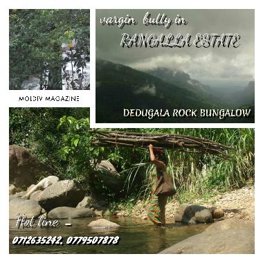 Holiday House in BULATHKOHUPITIYA  (Kegalla) or holiday homes and vacation rentals