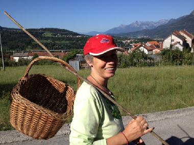 Holiday House in Ponte nelle Alpi/Belluno (Belluno) or holiday homes and vacation rentals