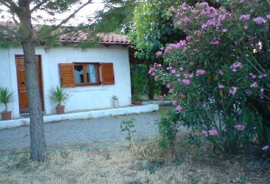 Holiday House in Selianitika (Korinthia) or holiday homes and vacation rentals