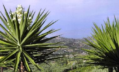 Holiday House in Selianitika (Korinthia) or holiday homes and vacation rentals