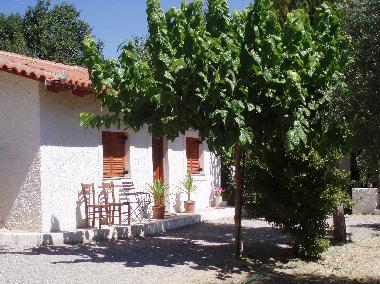 Holiday House in Selianitika (Korinthia) or holiday homes and vacation rentals