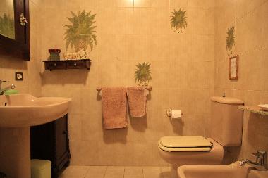 Holiday Apartment in A Carmignano-near Florence (Firenze) or holiday homes and vacation rentals