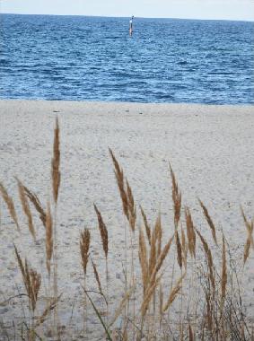 Holiday Apartment in Khlungsborn (Mecklenburgische Ostseekste) or holiday homes and vacation rentals