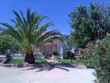 Villa in Albufeira (Algarve) or holiday homes and vacation rentals