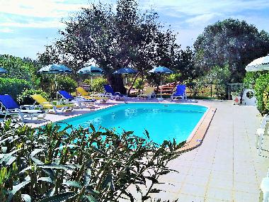 Villa in Albufeira (Algarve) or holiday homes and vacation rentals