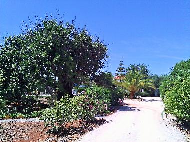 Villa in Albufeira (Algarve) or holiday homes and vacation rentals