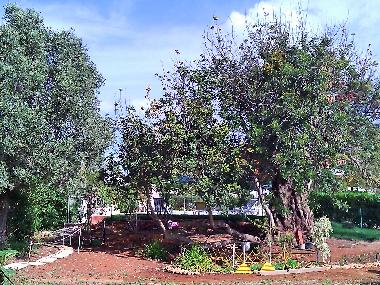 Villa in Albufeira (Algarve) or holiday homes and vacation rentals