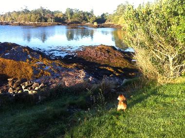 Holiday House in Tahilla (Kerry) or holiday homes and vacation rentals