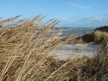 Holiday Apartment in Insel Poel (Ostsee-Inseln) or holiday homes and vacation rentals