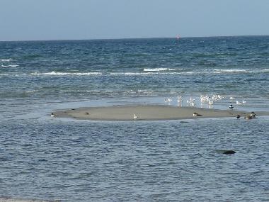 Holiday Apartment in Insel Poel (Ostsee-Inseln) or holiday homes and vacation rentals