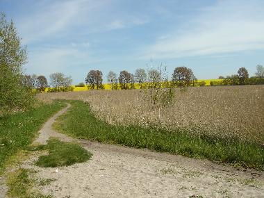 Holiday Apartment in Insel Poel (Ostsee-Inseln) or holiday homes and vacation rentals