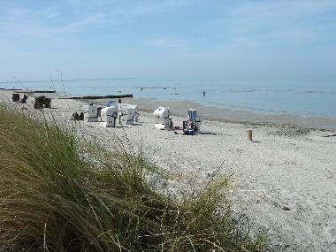 Holiday Apartment in Insel Poel (Ostsee-Inseln) or holiday homes and vacation rentals