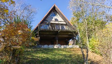 Holiday House in Siegsdorf-Vorauf (Upper Bavaria) or holiday homes and vacation rentals
