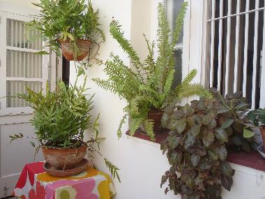 Holiday Apartment in Vedado (La Habana) or holiday homes and vacation rentals