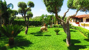 Holiday House in Parabita (Lecce) or holiday homes and vacation rentals