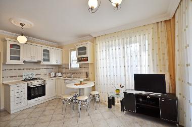 Open plan kitchen of a one bedroom apartment