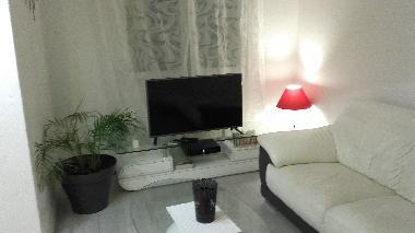 Holiday Apartment in bayonne (Pyrnes-Atlantiques) or holiday homes and vacation rentals