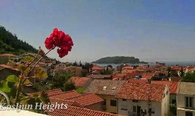 Holiday Apartment in Budva (Montenegro) or holiday homes and vacation rentals