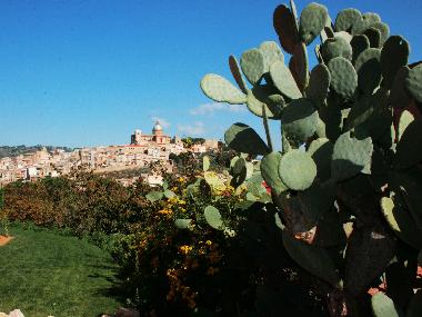 Hotel in Piazza Armerina (Enna) or holiday homes and vacation rentals