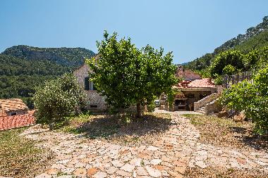 Villa in Pitve (Splitsko-Dalmatinska) or holiday homes and vacation rentals