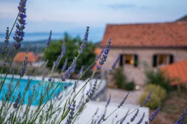 Villa in Pitve (Splitsko-Dalmatinska) or holiday homes and vacation rentals
