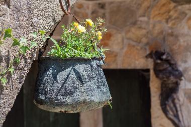 Villa in Pitve (Splitsko-Dalmatinska) or holiday homes and vacation rentals