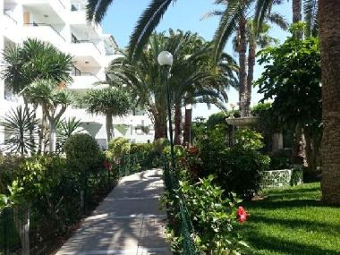 Holiday Apartment in Maspalomas (Gran Canaria) or holiday homes and vacation rentals