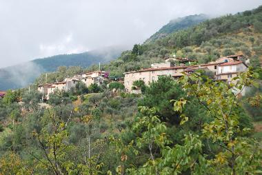 Holiday House in Camaiore (Lucca) or holiday homes and vacation rentals