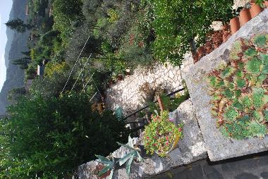 Holiday House in Camaiore (Lucca) or holiday homes and vacation rentals