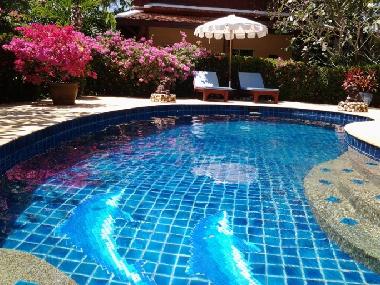 Villa in RAWAI (Phuket) or holiday homes and vacation rentals