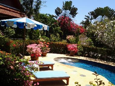 Villa in RAWAI (Phuket) or holiday homes and vacation rentals
