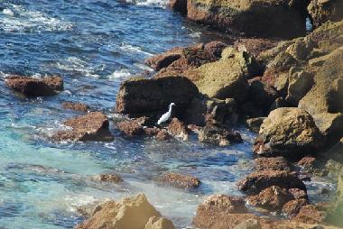 Holiday House in Vlez Mlaga (Mlaga) or holiday homes and vacation rentals