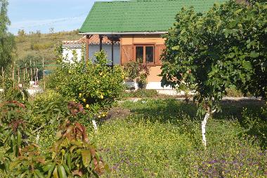 Holiday House in Vlez Mlaga (Mlaga) or holiday homes and vacation rentals