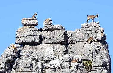 Holiday House in Vlez Mlaga (Mlaga) or holiday homes and vacation rentals