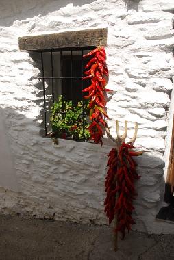 Holiday House in Vlez Mlaga (Mlaga) or holiday homes and vacation rentals