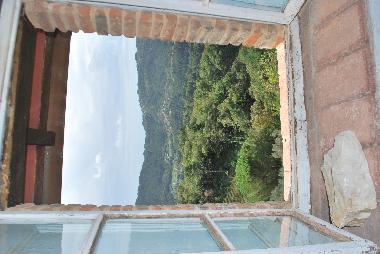 Holiday House in Camaiore (Lucca) or holiday homes and vacation rentals