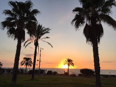 Holiday Apartment in mojacar (Almera) or holiday homes and vacation rentals