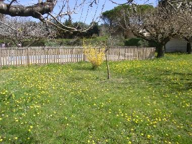 Holiday House in Isle sur la Sorgue (Vaucluse) or holiday homes and vacation rentals