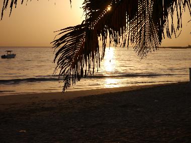 Villa in nianing (Thies) or holiday homes and vacation rentals