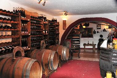 Hotel in Orebic (Dubrovacko-Neretvanska) or holiday homes and vacation rentals