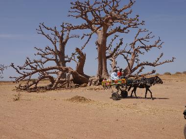 Villa in nianing (Thies) or holiday homes and vacation rentals