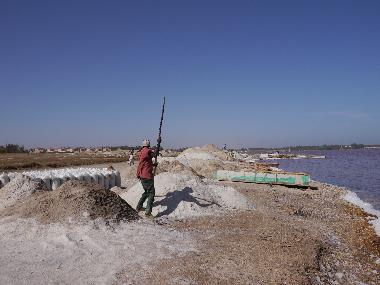 Villa in nianing (Thies) or holiday homes and vacation rentals