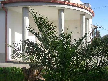 Villa in matino (Lecce) or holiday homes and vacation rentals