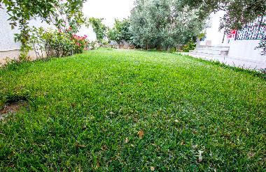 Holiday Apartment in Mahdia (Al Mahdiyah) or holiday homes and vacation rentals