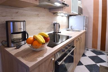 Holiday Apartment in Dubrovnik (Dubrovacko-Neretvanska) or holiday homes and vacation rentals