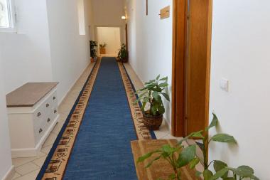 Holiday Apartment in Dubrovnik (Dubrovacko-Neretvanska) or holiday homes and vacation rentals