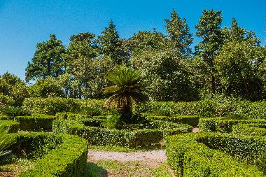 Holiday Apartment in Dubrovnik (Dubrovacko-Neretvanska) or holiday homes and vacation rentals