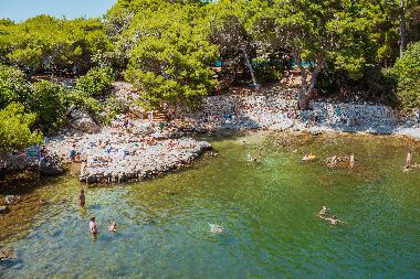 Holiday Apartment in Dubrovnik (Dubrovacko-Neretvanska) or holiday homes and vacation rentals